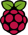 Raspberry Pi Icon